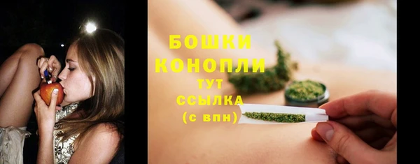 твердый Осинники