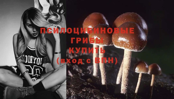 твердый Осинники