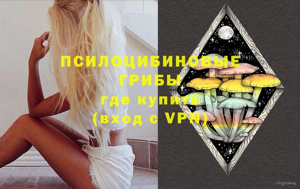 МДПВ Осташков