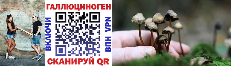 даркнет сайт  Старая Русса  Псилоцибиновые грибы GOLDEN TEACHER 