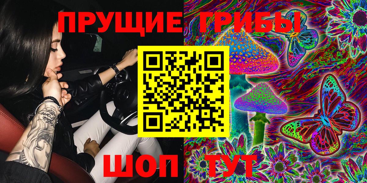 Галлюциногенные грибы MAGIC MUSHROOMS  где можно купить наркотик  Старая Русса 