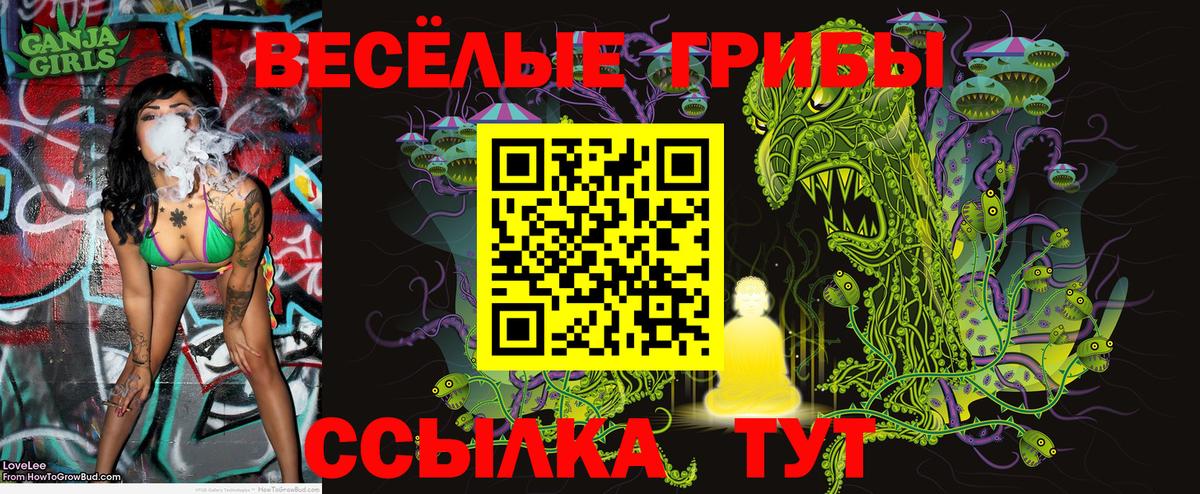 Псилоцибиновые грибы MAGIC MUSHROOMS Старая Русса