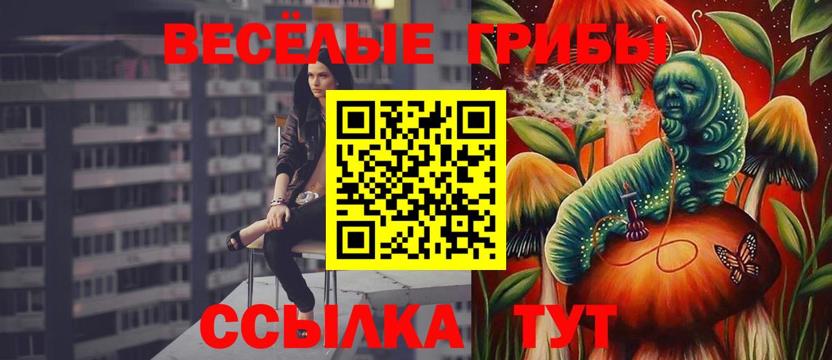 Псилоцибиновые грибы мицелий  Вход с VPN  Старая Русса 